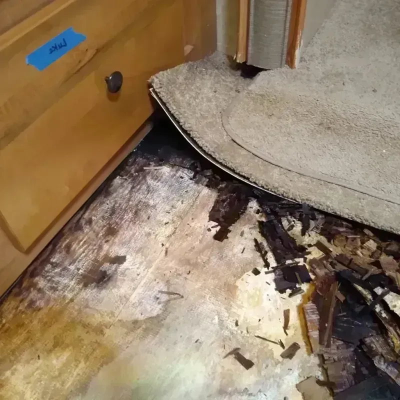 Wood Floor Water Damage in Deer Valley, AZ